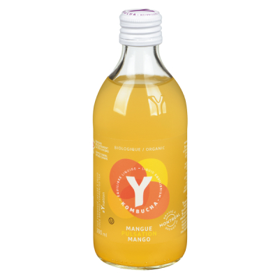 Y Kombucha Mangue Pulsation